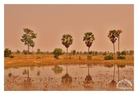 Cambojda